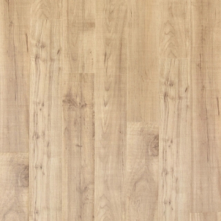 Picture of Mohawk - PureTech Plus Ellenwood Maple Sapling