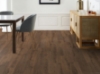 Picture of Fusion - Enhanced Planks Celo