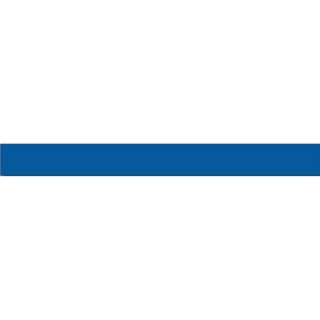 Picture of Armstrong - Premium Excelon Feature Strip 4 x 24 Blue II