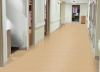 Picture of Armstrong - Standard Excelon Imperial Texture 1/8 Camel Beige