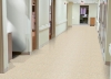 Picture of Armstrong - Standard Excelon Imperial Texture 1/8 Sandrift White
