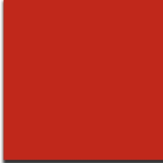 Picture of Armstrong - Premium Excelon Feature Tile Red II