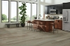 Picture of Armstrong - Ingenious Plank Washed Sepia