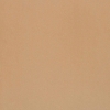 Picture of Alfagres - Quarry Smooth 12 x 12 Sahara