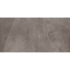 Picture of Daltile - Delegate Paver 20 x 40 Light Grey