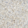 Picture of SOHO Studio Corp - OasisGlass Frosted
