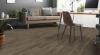 Picture of Trucor - Alpha Graphite Acacia