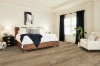 Picture of Shaw Floors - Titan HD Plus Platinum Imperial Beech
