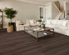 Picture of Shaw Floors - Titan HD Plus Platinum Pandora Oak