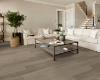 Picture of Shaw Floors - Titan HD Plus Platinum Renewed Hickory