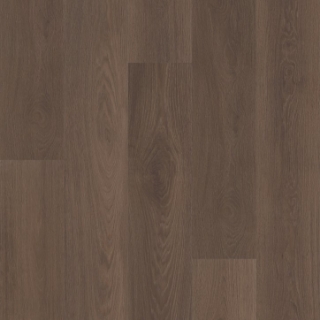 Picture of Shaw Floors - Vantage Point NB Sierra
