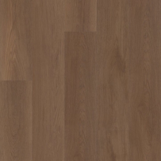 Picture of Shaw Floors - Vantage Point NB Legend