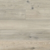 Picture of Monarch Plank - Tableau Cezanne