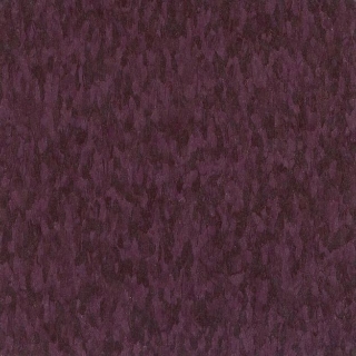 Picture of AHF Contract - Highlights Bacchus Wine