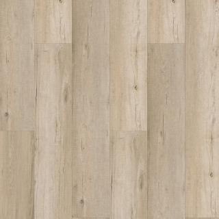 Picture of Echelon Floors - Ultra Bone