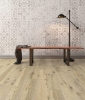 Picture of InHaus - Visions Buckthorn