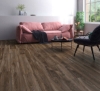 Picture of InHaus - Visions Gunstock Oak
