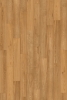 Picture of InHaus - Gallery Langara