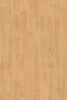 Picture of InHaus - Gallery Seaforth