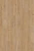 Picture of InHaus - Gallery Glenbrook