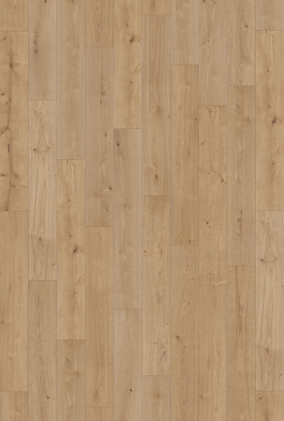 Picture of InHaus - Gallery Glenbrook