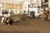 Picture of Bruce - Dundee Wide Plank 5 Low Gloss Splendid Harmony