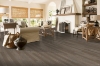 Picture of Bruce - Dundee Wide Plank 5 Low Gloss First Frost