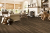 Picture of Bruce - Dundee Wide Plank 5 Low Gloss Equestrian Woods