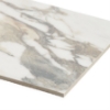 Picture of SOHO Studio Corp - Lithe 12 x 24 Polished Calacatta Rustico