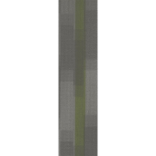 Picture of Pentz - Amplify Plank Parrot