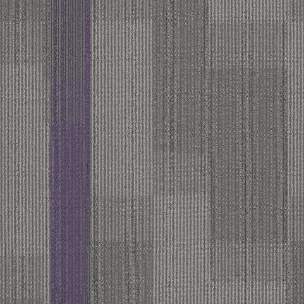 Picture of Pentz - Amplify Tile Royal Purple