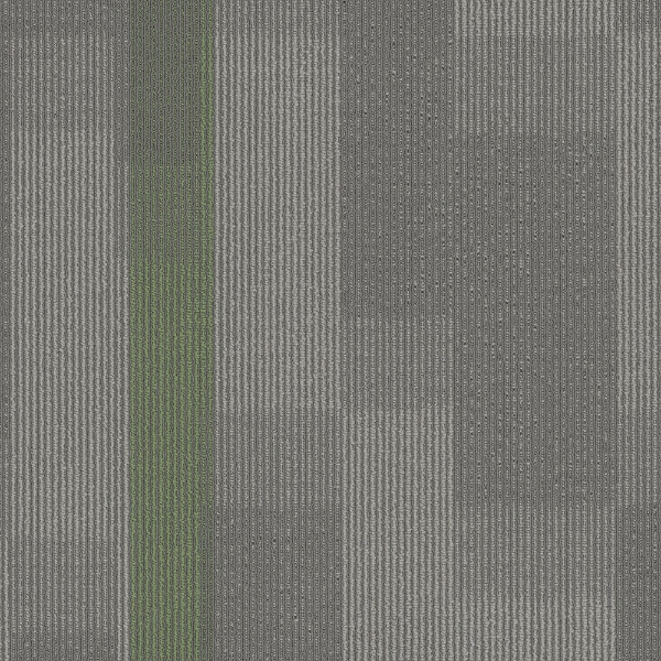 Picture of Pentz - Amplify Tile Parrot