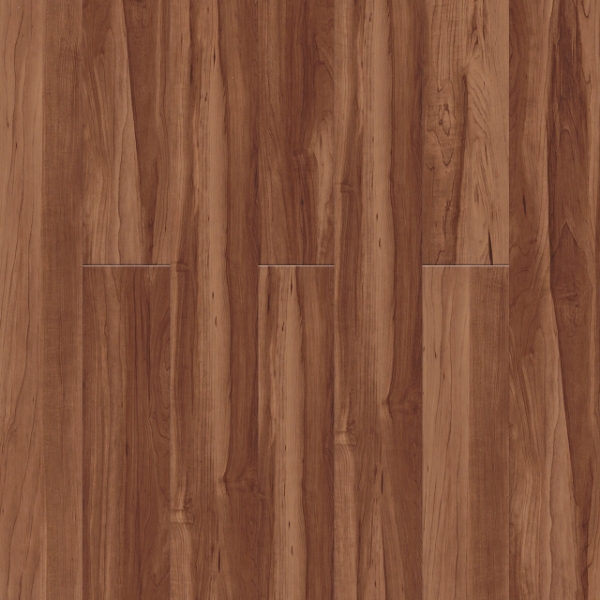 Picture of Pentz - Boulevard Sugar Maple