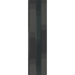 Picture of Pentz - Magnify Plank Ocean Tropic
