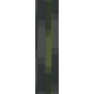 Picture of Pentz - Magnify Plank Parrot