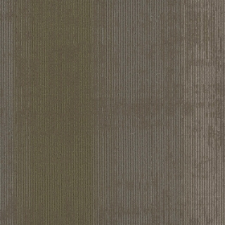 Picture of Pentz - Universe Tile Nadir