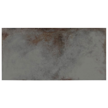 Picture of SOHO Studio Corp - Angela Harris San Francisco 24 x 48 Graphite Matte