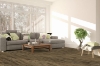 Picture of Engineered Floors - PureGrain Endure New Standard II Bounty