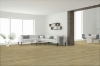 Picture of Engineered Floors - PureGrain Endure Preference Carpenter
