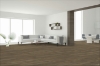 Picture of Engineered Floors - Dreamweaver - PureGrain Endure Timeless Beauty Gentry