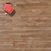Picture of Mannington - Restoration Sawmill Hickory Natural