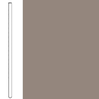 Picture of Flexco - Base 2000 Wall Base 4 Straight Dark Beige
