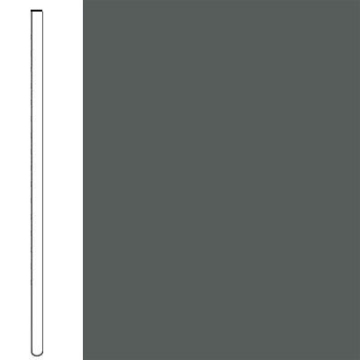 Picture of Flexco - Wallflowers Wall Base 6 Straight Graphite