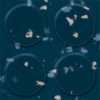 Picture of Flexco - SpexTones Radial II Delft Pansy w Winsor Doe
