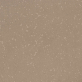 Picture of Flexco - Geodesy 24 x 24 080 Earth
