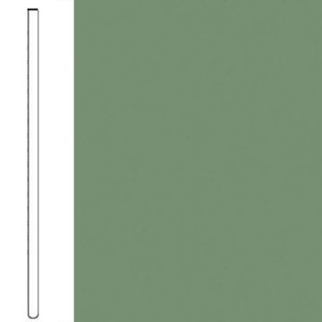 Picture of Flexco - Wallflowers Wall Base 6 Straight Asparagus