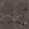 Picture of Flexco - SpexTones Radial II Milk Chocolate w Bark Doe