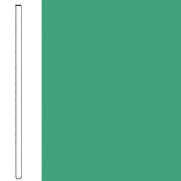 Picture of Flexco - Wallflowers Wall Base 6 Straight Clover