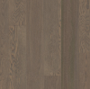 Picture of Anderson - European Ash Riviera