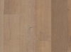 Picture of Anderson - Metallics II Luxe Gold